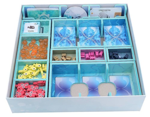 Finspan Colour Insert