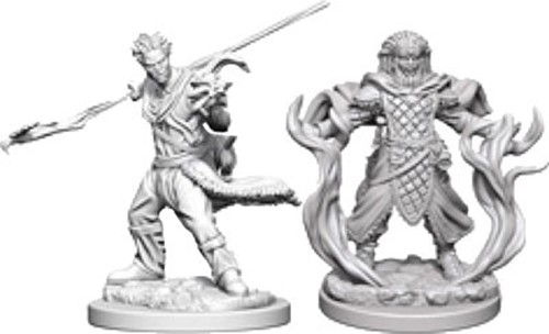 Dungeons And Dragons Nolzur's Marvelous Unpainted Minis: Human Male Druid