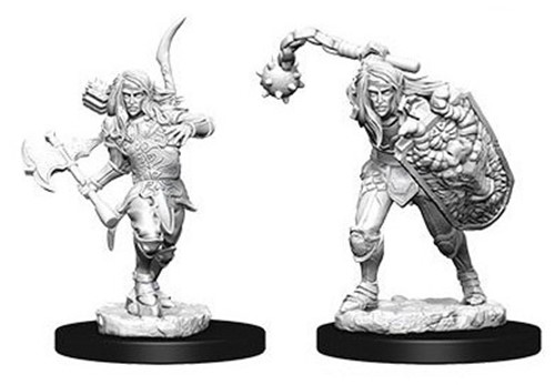 Pathfinder Deep Cuts Unpainted Miniatures: Elf Male Fighter 2