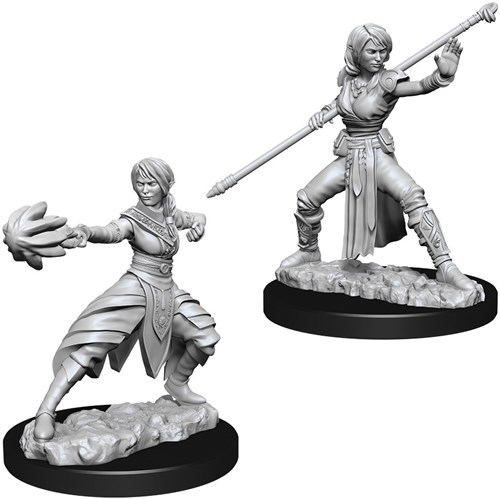 Dungeons And Dragons Nolzur's Marvelous Unpainted Minis: Half-Elf Female Monk