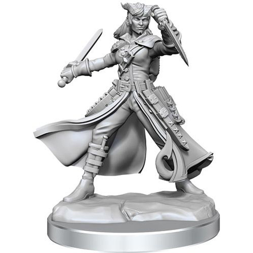 Dungeons And Dragons Frameworks: Tiefling Rogue Female