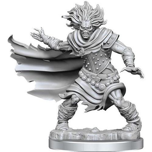 WZK75052 Dungeons And Dragons Frameworks: Wight published by WizKids Games