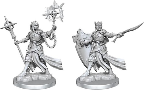 WZK75080 Dungeons And Dragons Frameworks: Elf Paladin Female published by WizKids Games