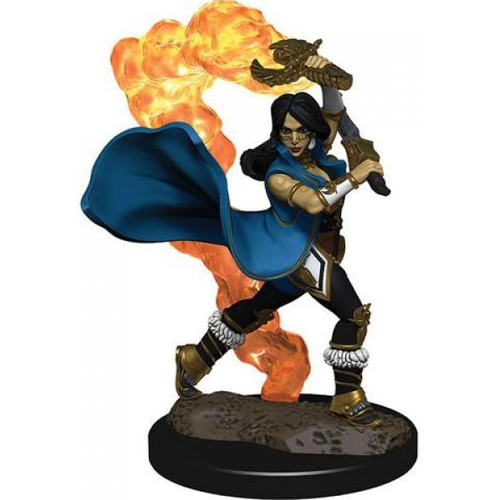 WZK77507S Pathfinder Deep Cuts Painted Miniatures: Human Cleric Female published by WizKids Games