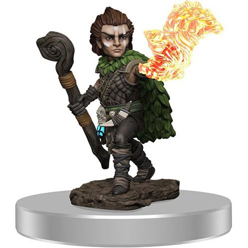 WZK77516S Pathfinder Deep Cuts Painted Miniatures: Male Gnome Druid published by WizKids Games