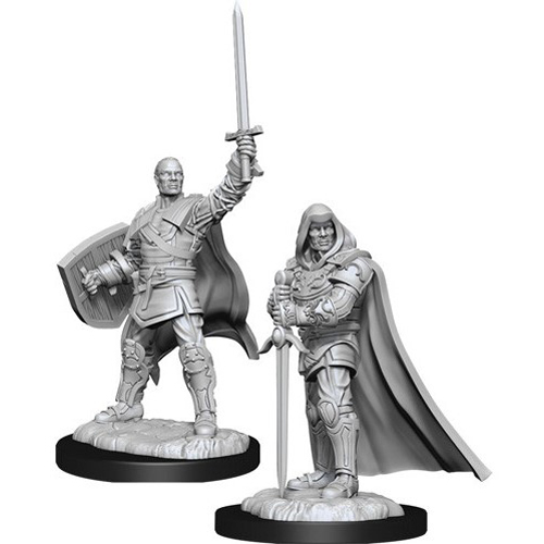 WZK90136S Dungeons And Dragons Nolzur's Marvelous Unpainted Minis: Human Male Paladin Male published by WizKids Games