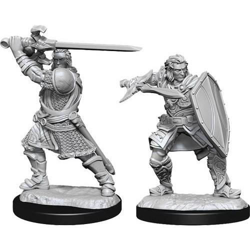 WZK90220S Dungeons And Dragons Nolzur's Marvelous Unpainted Minis: Human Paladin Male published by WizKids Games