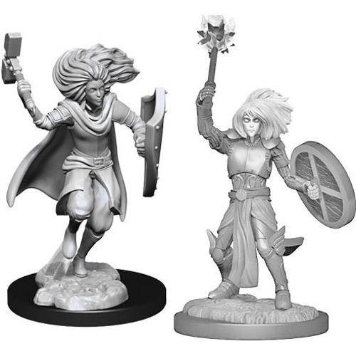 WZK90237S Dungeons And Dragons Nolzur's Marvelous Unpainted Minis: Changeling Cleric published by WizKids Games