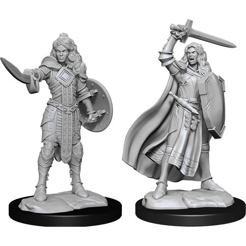 WZK90264S Pathfinder Deep Cuts Unpainted Miniatures: Human Champion Female published by WizKids Games