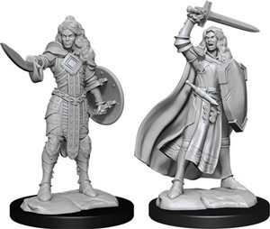 2!WZK90264S Pathfinder Deep Cuts Unpainted Miniatures: Human Champion Female published by WizKids Games