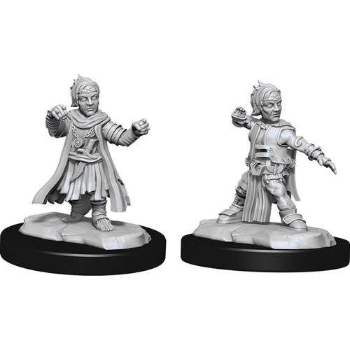 WZK90328S Pathfinder Deep Cuts Unpainted Miniatures: Halfing Monk Male published by WizKids Games