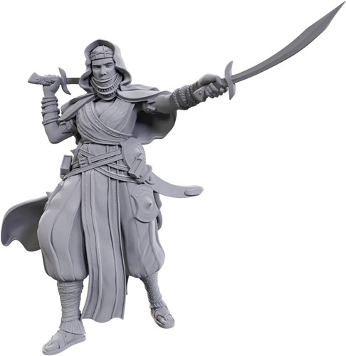 WZK90712 Pathfinder Deep Cuts Unpainted Miniatures: Desert Giant published by WizKids Games