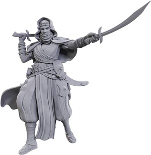 WZK90712 Pathfinder Deep Cuts Unpainted Miniatures: Desert Giant published by WizKids Games