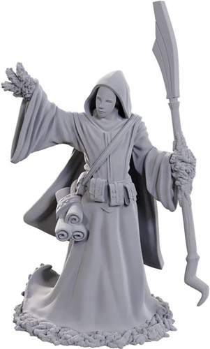 WZK90754 Dungeons And Dragons Nolzur's Marvelous Unpainted Minis: Star Spawn Larva Mage published by WizKids Games