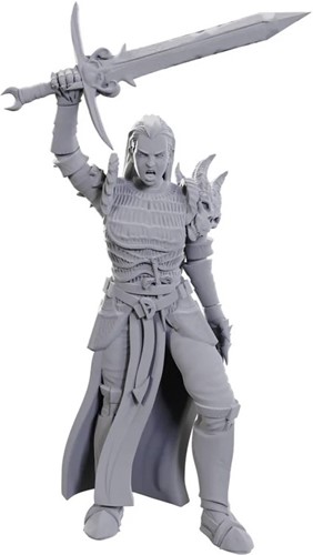 WZK90772 Dungeons And Dragons Nolzur's Marvelous Unpainted Minis: Blackguard published by WizKids Games