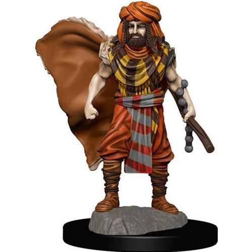 WZK93031S Dungeons And Dragons: Human Druid Male Premium Figure published by WizKids Games