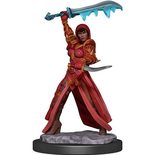 WZK93032S Dungeons And Dragons: Human Rogue Female Premium Figure published by WizKids Games