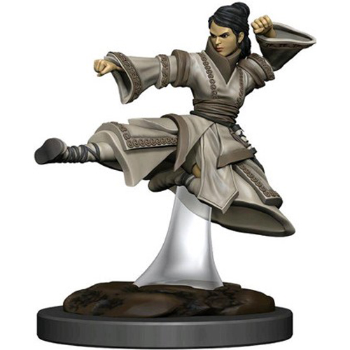 WZK93044S Dungeons And Dragons: Human Monk Female Premium Figure published by WizKids Games