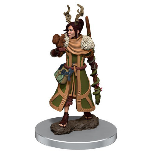 WZK93054S Dungeons And Dragons: Female Human Druid Premium Figure published by WizKids Games