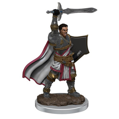 WZK93058S Dungeons And Dragons: Male Human Paladin Premium Figure published by WizKids Games