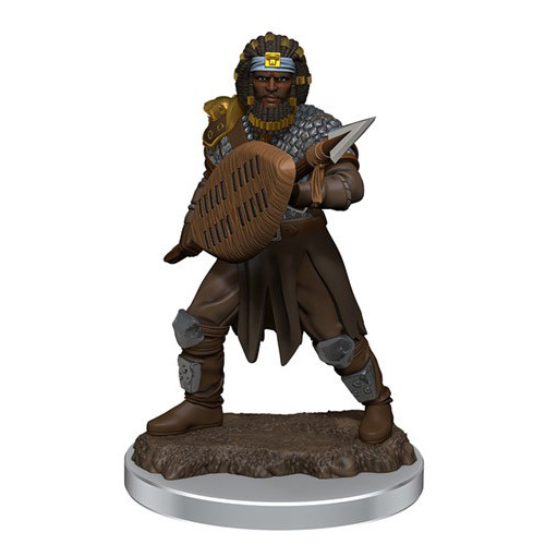 WZK93059S Dungeons And Dragons: Male Human Fighter Premium Figure published by WizKids Games